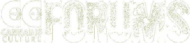 cannabis culture forums
